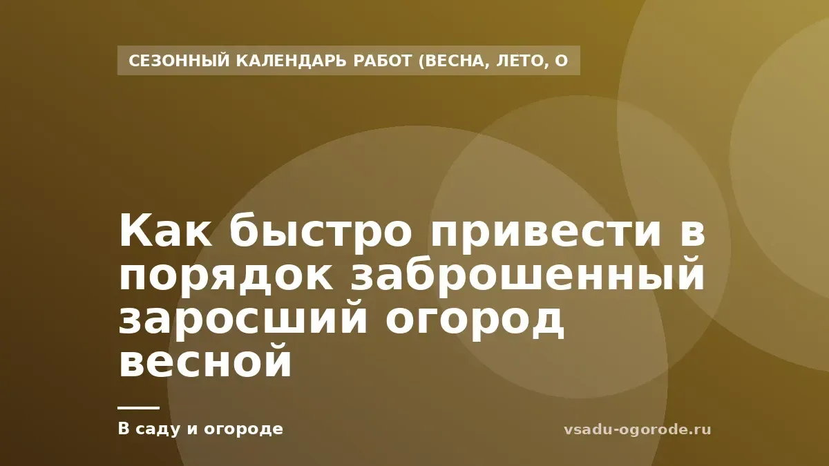Как быстро привести в порядок заброшенный заросший огород весной