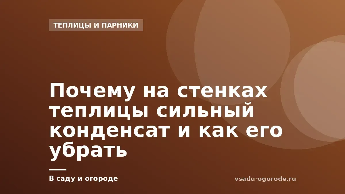 Почему на стенках теплицы сильный конденсат и как его убрать