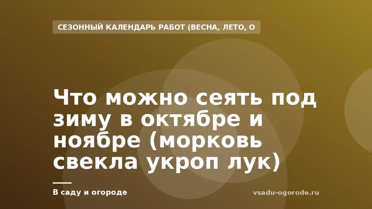 Что можно сеять под зиму в октябре и ноябре (морковь свекла укроп лук)