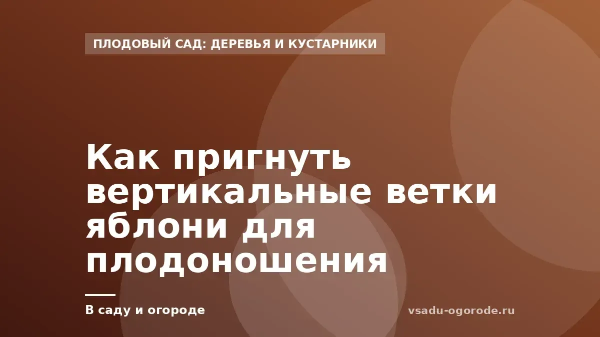 Как пригнуть вертикальные ветки яблони для плодоношения