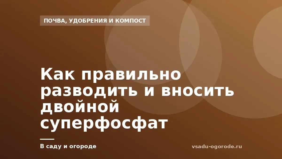 Как правильно разводить и вносить двойной суперфосфат